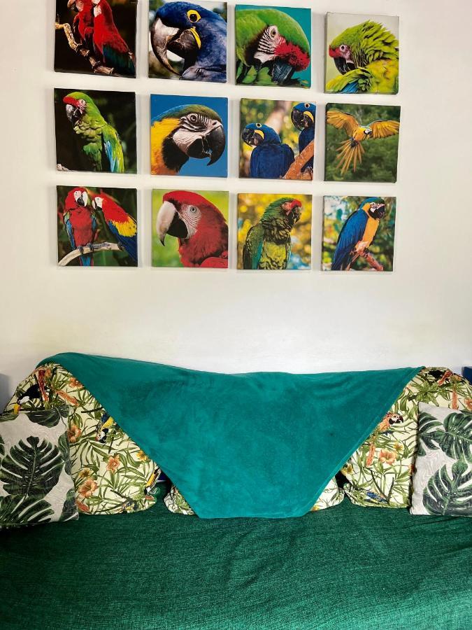 Hostel Papagaio Abraão Εξωτερικό φωτογραφία